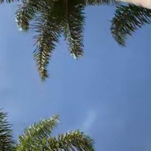 Meet your Posher, Sheila